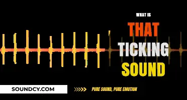 Unraveling the Mystery: What's Behind That Persistent Ticking Sound?