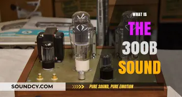Unveiling the Rich, Warm, and Legendary 300B Tube Sound