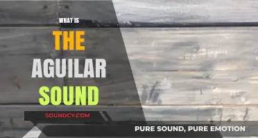 Exploring the Rich, Iconic Tone of Aguilar Bass Amplification