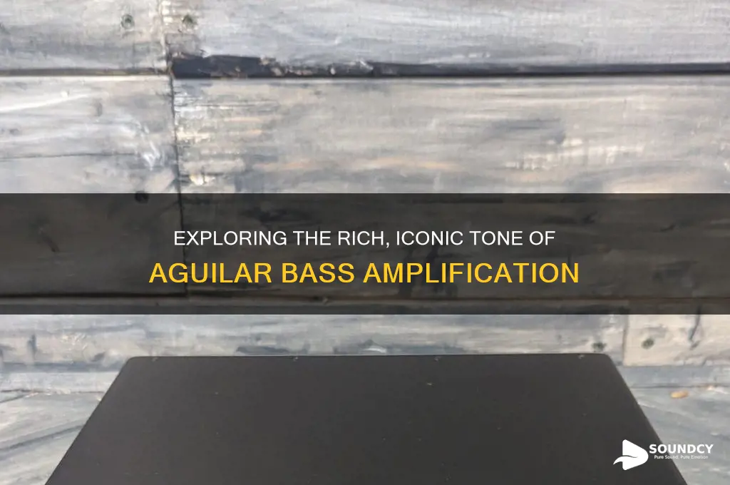 what is the aguilar sound