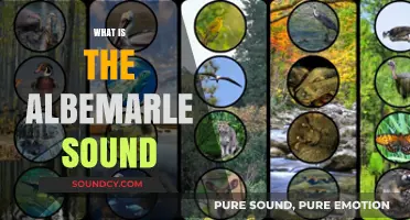 Exploring the Albemarle Sound: A Unique Coastal Ecosystem in North Carolina