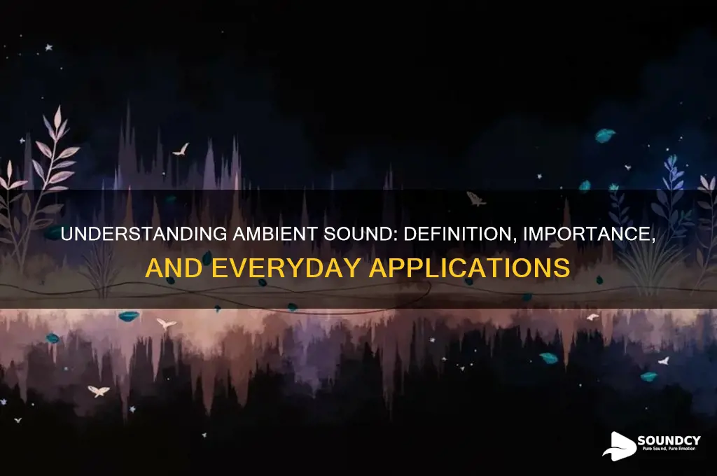 what is the ambient sound