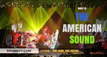 Exploring the Diverse and Iconic American Sound: A Cultural Journey