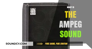 Unveiling the Iconic Ampeg Sound: A Bassist's Ultimate Tone Guide