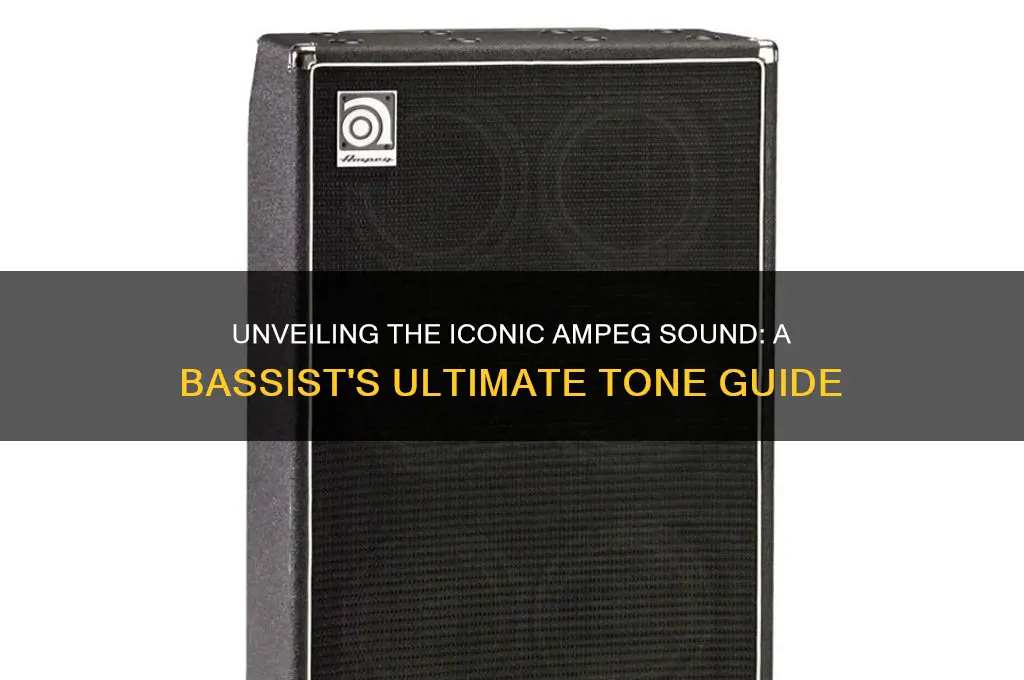 what is the ampeg sound