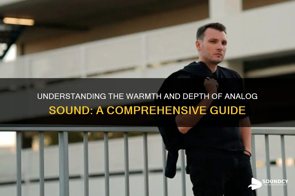 what is the analog sound