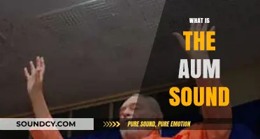 Understanding the Aum Sound: Origins, Significance, and Spiritual Resonance