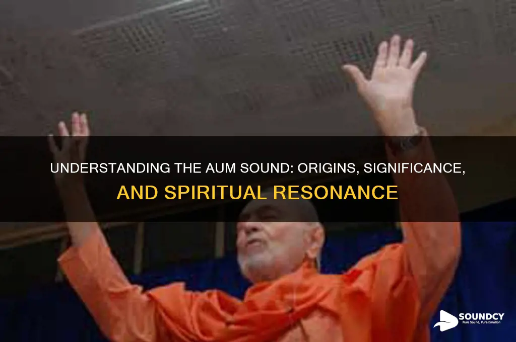 what is the aum sound