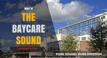 Exploring BayCare Sound: Understanding Its Purpose and Impact on Healthcare