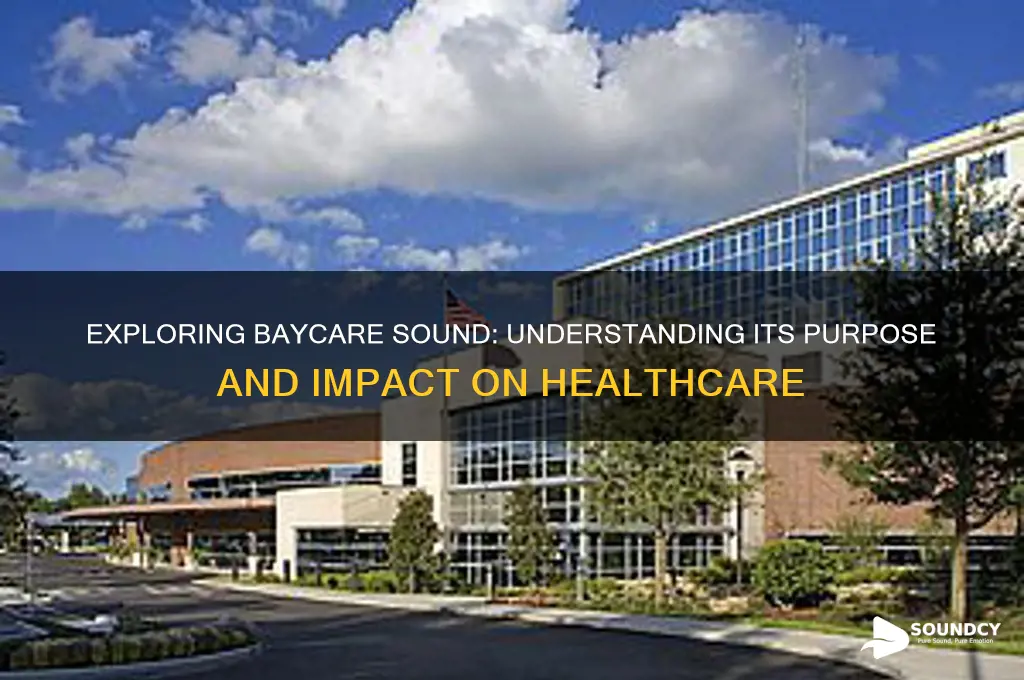 what is the baycare sound
