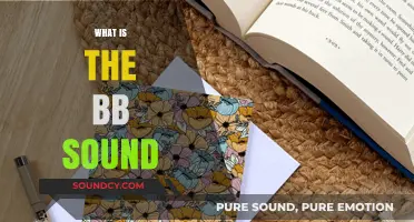 Unraveling the Mystery: What is the BB Sound and Why It Matters