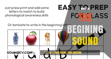 Unraveling the Mystery: Understanding the Beginning Sound in Phonics