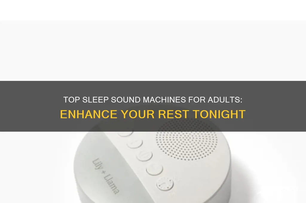 what is the best sleep sound machine for adults