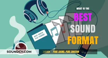 Best Audio Formats: Quality and Compatibility