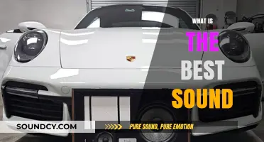 Exploring the Ultimate Sound: What Makes It the Best for You?