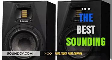 Discover the Ultimate Best-Sounding Audio Gear for Every Budget