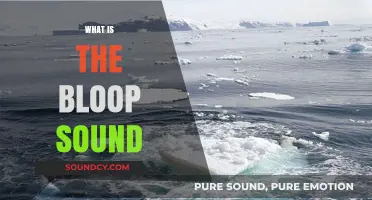 Unraveling the Mystery: What is the Bloop Sound in the Ocean?