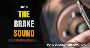 Understanding the Brake Sound: Causes, Meanings, and When to Worry
