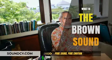 Unveiling the Mystery: Understanding the Infamous Brown Sound Phenomenon