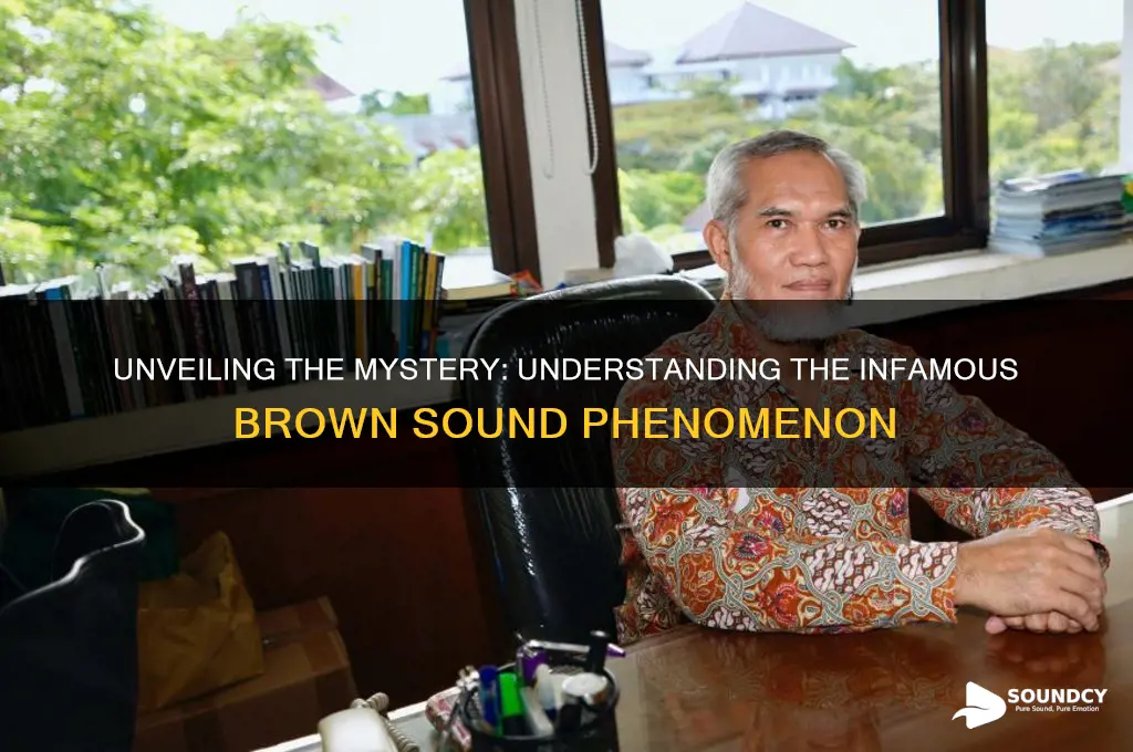 what is the brown sound