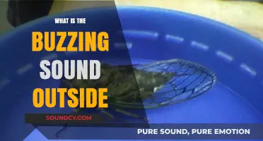 Buzzing Noise Mystery: What's That Sound?