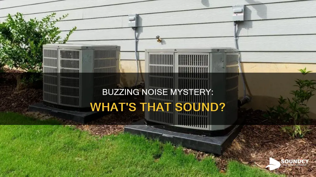 what is the buzzing sound outside