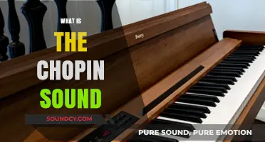 Unveiling the Unique, Poetic, and Emotional Essence of Chopin's Sound