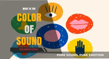 The Color of Sound: A Synesthetic Experience