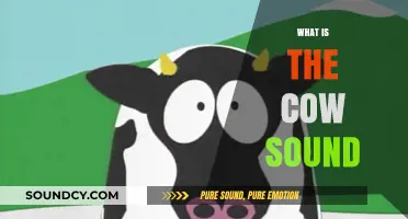 Understanding the Unique Sound of a Cow: Mooing Explained