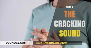 Understanding the Cracking Sound: Causes, Science, and Common Myths Explained