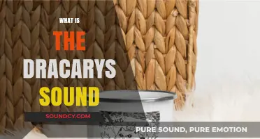 Unveiling the Fiery Roar: Understanding the Dracarys Sound Phenomenon