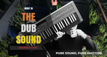 Exploring the Dub Sound: Origins, Characteristics, and Cultural Impact