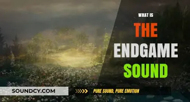 Unveiling the Mystery: Understanding the Endgame Sound Phenomenon