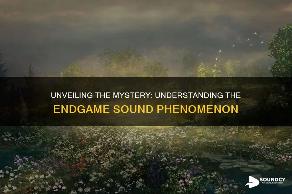 what is the endgame sound