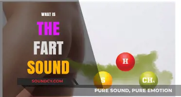 Unveiling the Science and Humor Behind the Fart Sound Explained