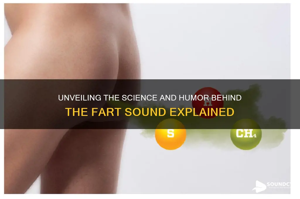 what is the fart sound