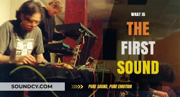 Unveiling the Mystery: Exploring the Origins of the First Sound