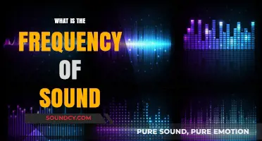 Understanding Sound: Frequency Fundamentals
