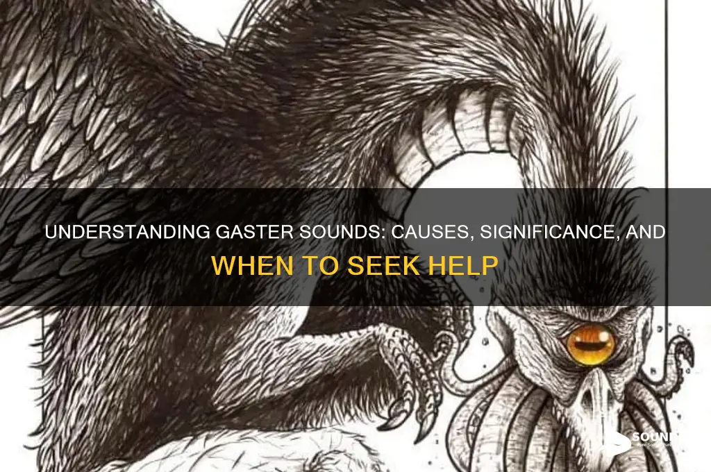 what is the gaster sound