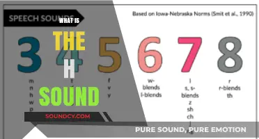 Understanding the H Sound: Articulation, Phonetics, and Common Challenges