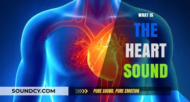 Understanding Heart Sounds: A Comprehensive Guide to Cardiac Auscultation