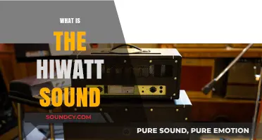 Unveiling the Iconic Hiwatt Sound: A Guitar Amp Legend Explored