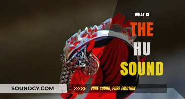 Understanding the Ancient Hu Sound: Origins, Meaning, and Practice