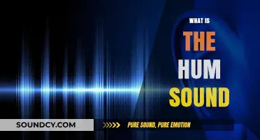 Unraveling the Mystery: What Causes the Elusive Hum Sound?