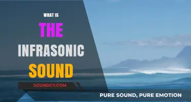 Unveiling the Mystery of Infrasonic Sound: Frequencies Beyond Human Hearing