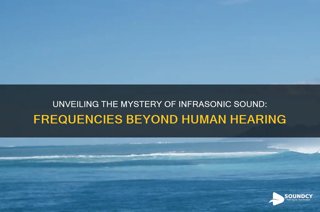 what is the infrasonic sound