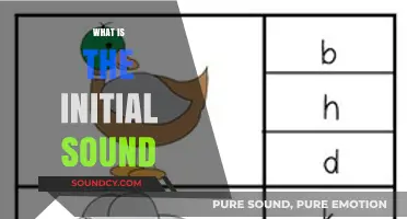 Understanding the Initial Sound: A Beginner's Guide to Phonics Basics