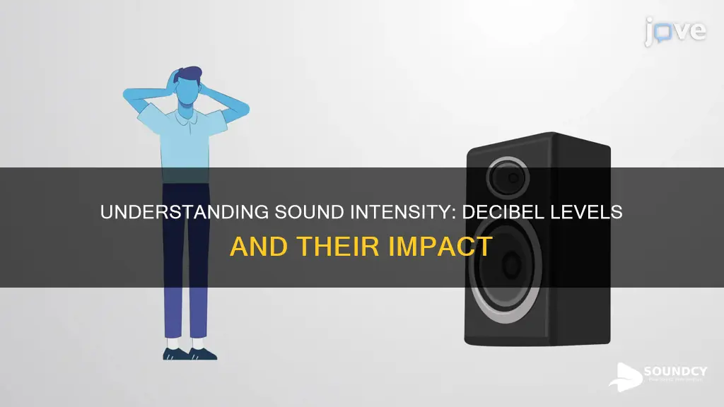 what is the intensity of sound