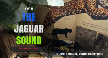 Unveiling the Jaguar's Roar: Exploring the Unique Sound of the Big Cat