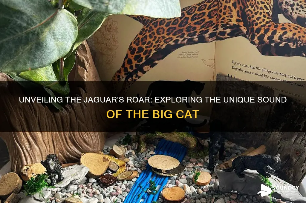 what is the jaguar sound
